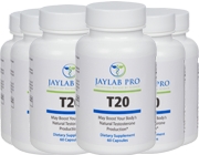 Jaylab Pro T20 6 Pack (men only)